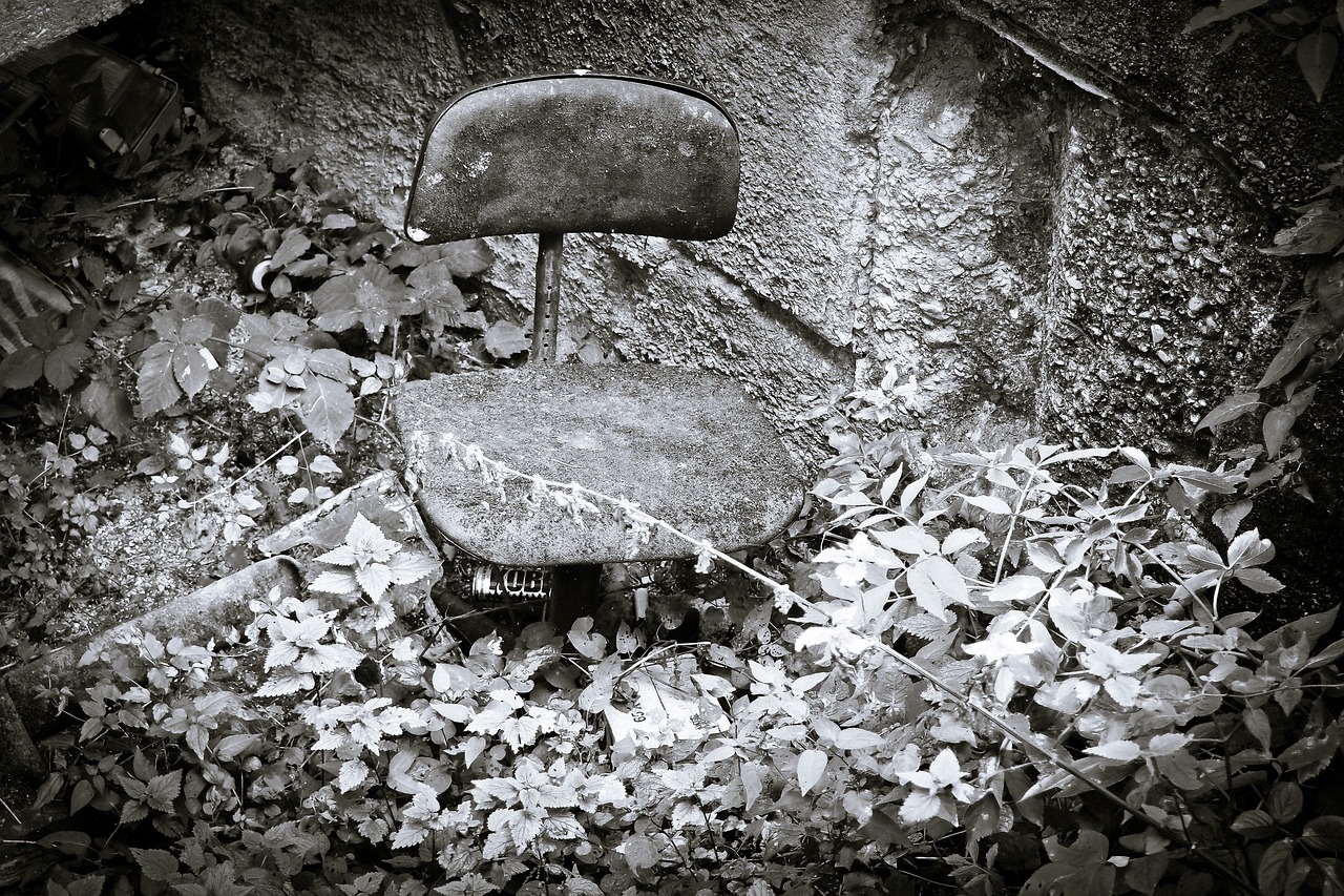 a chair that is sitting in the grass, a photo, by Mirko Rački, industrial photography, ivy, monochrome color, in a rock chair