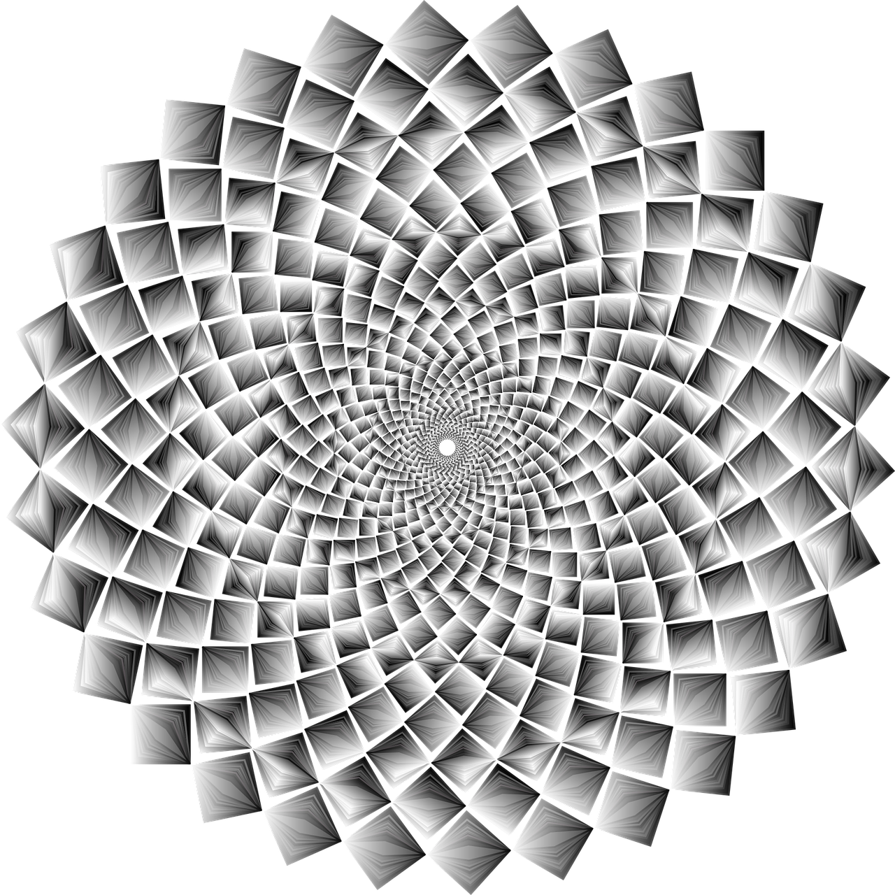 a black and white image of a flower, a raytraced image, inspired by Benoit B. Mandelbrot, pixabay contest winner, kinetic pointillism, white spiral horns, gradient white to silver, geometric tesseract, spiky