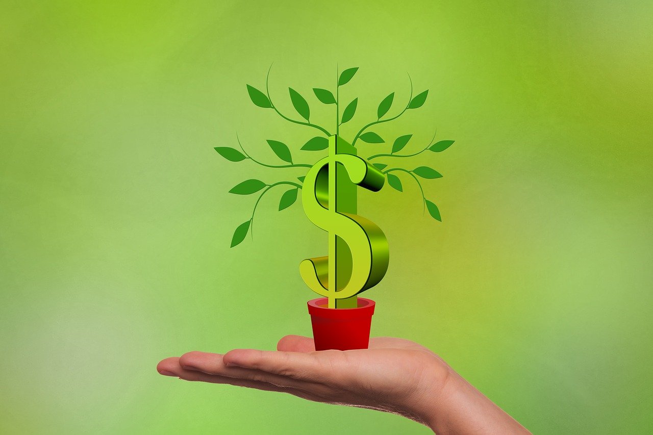 a hand holding a plant with a dollar sign on it, a digital rendering, by Lena Alexander, pixabay, conceptual art, bonsai tree, wealthy women, green energy, pot