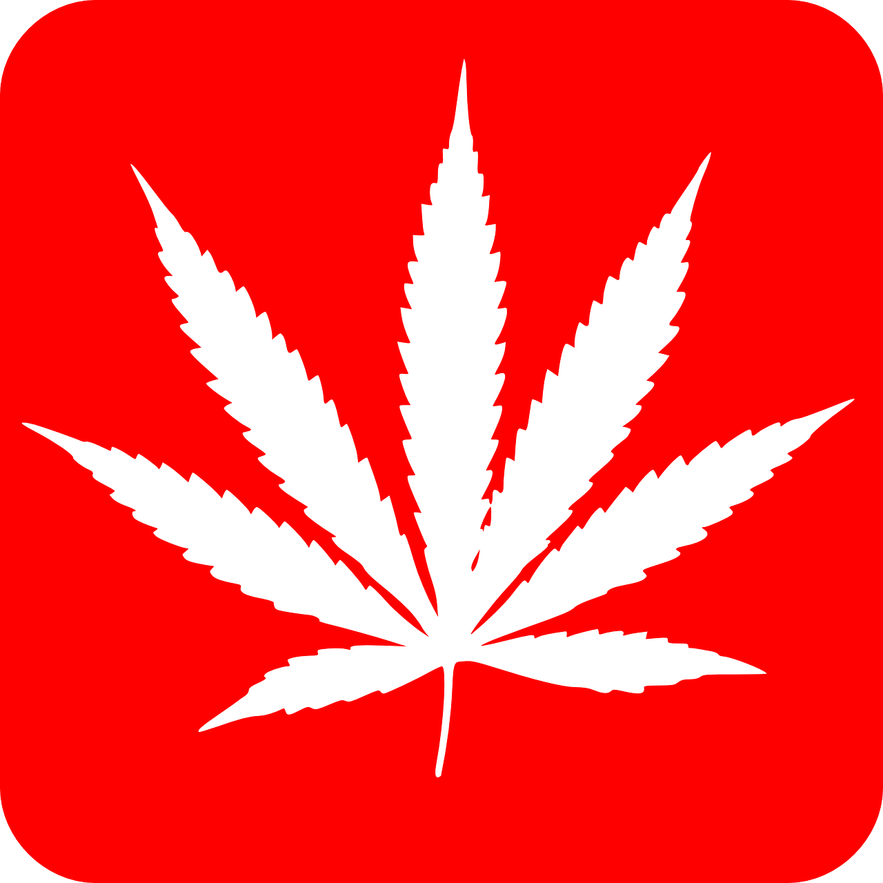 a white marijuana leaf on a red background, inspired by Mary Jane Begin, svg vector art, icon, 2013, shenzhen