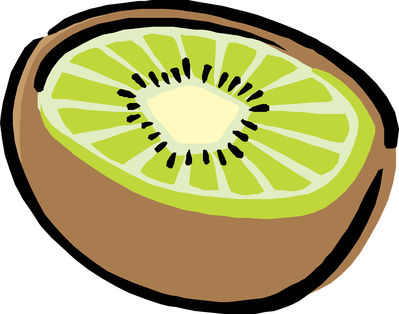 a kiwi fruit cut in half on a black background, inspired by Kōno Michisei, wikihow illustration, round-cropped, colored sketch, 7 0 s photo