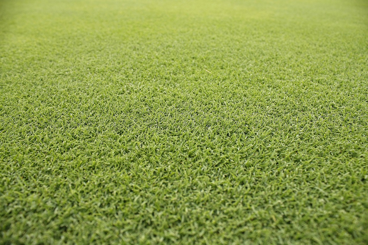 a soccer ball sitting on top of a lush green field, a stock photo, shutterstock, hurufiyya, golf course, stylized grass texture, close up iwakura lain, smooth.sharp focus