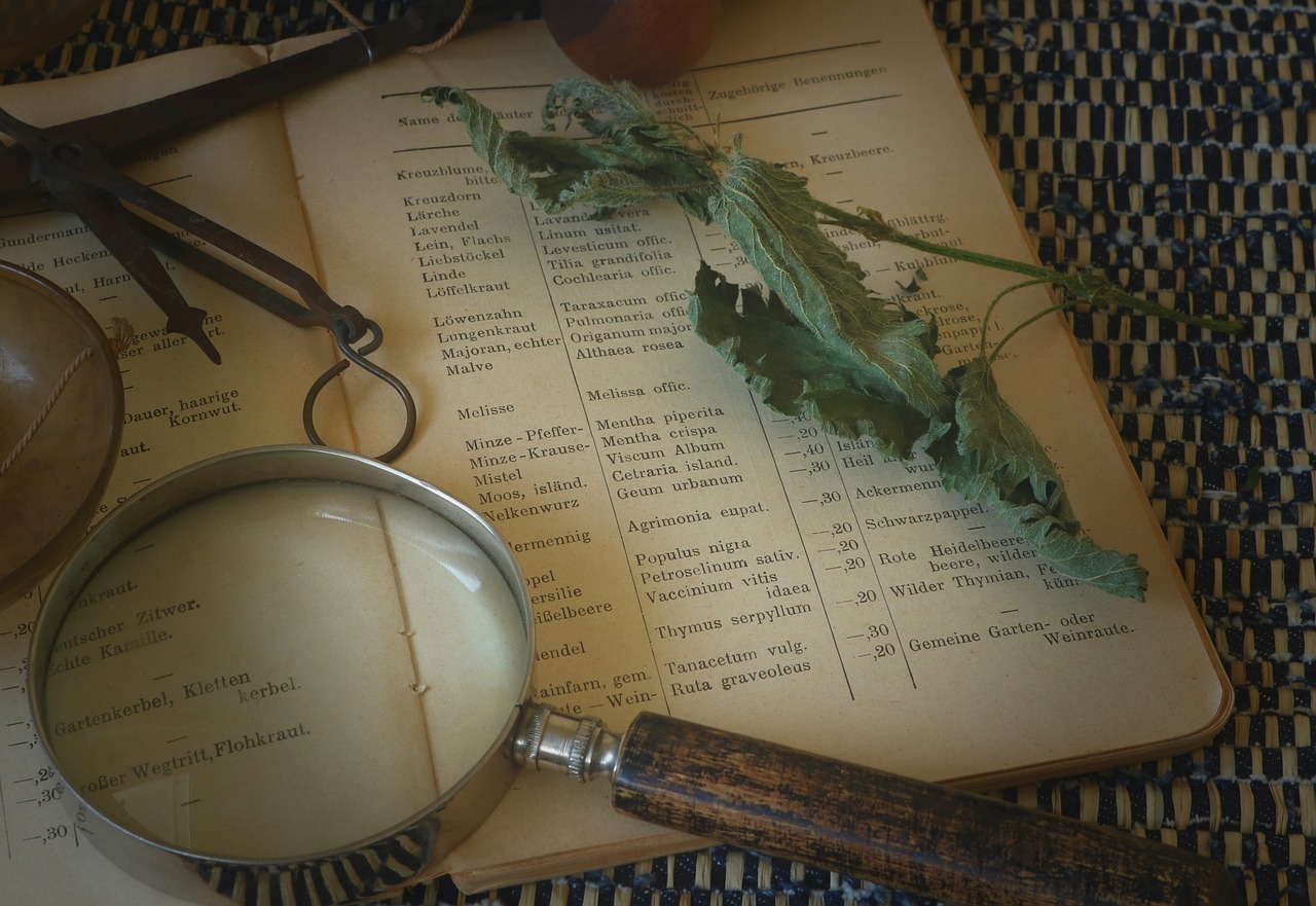 a close up of a book with a magnifying glass, a photo, vanitas, herbs, medical reference, vintage shading, ekaterina