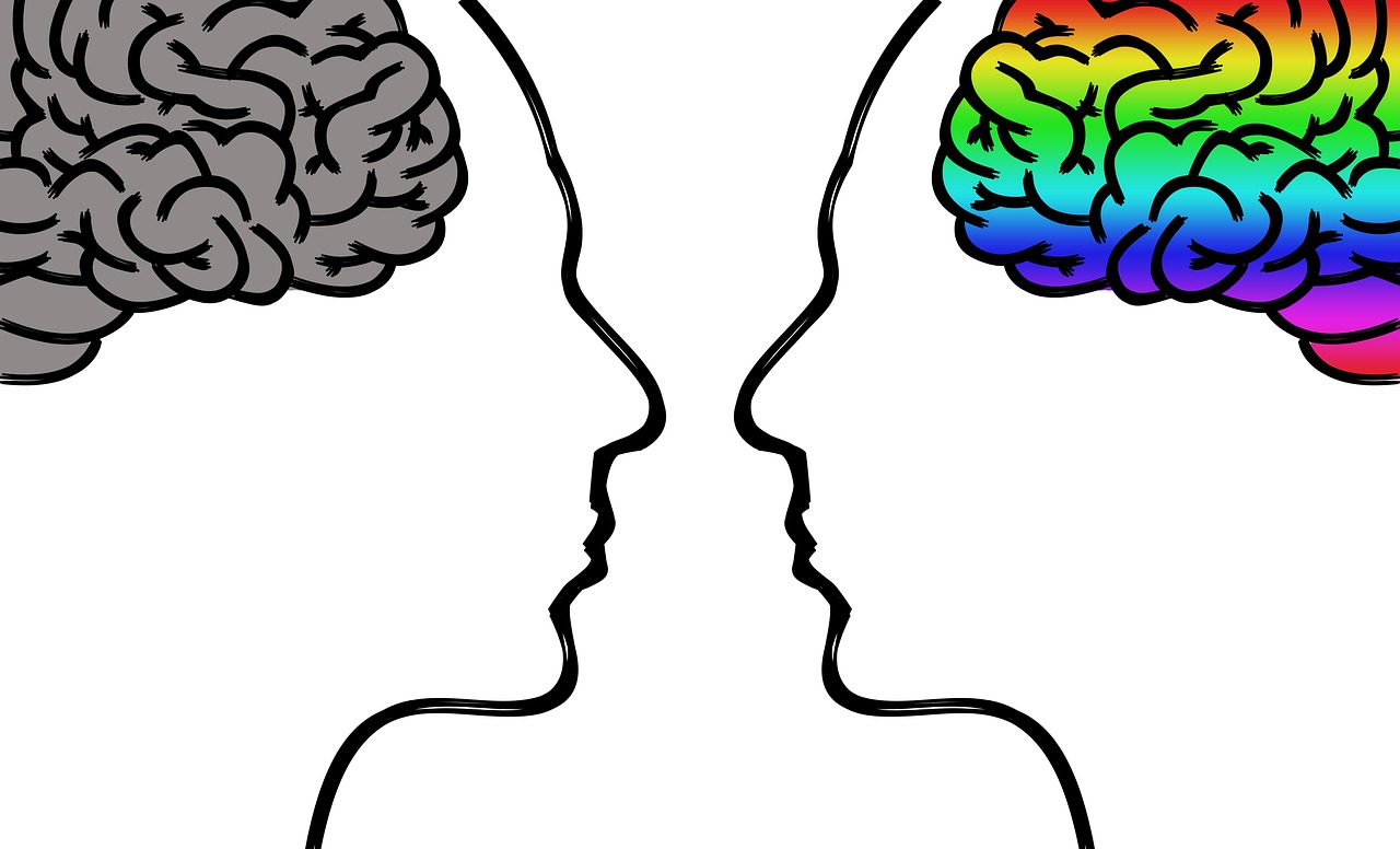 a man and a woman face to face with a rainbow brain, an illustration of, black on white background, identical picture, drag, rgb
