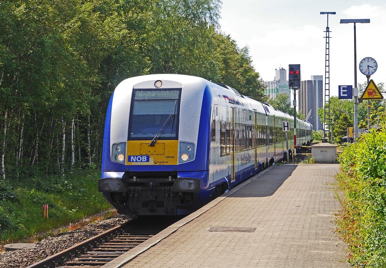 a blue and white train pulling into a train station, by Troels Wörsel, flickr, helmond, hsv, s line, mule