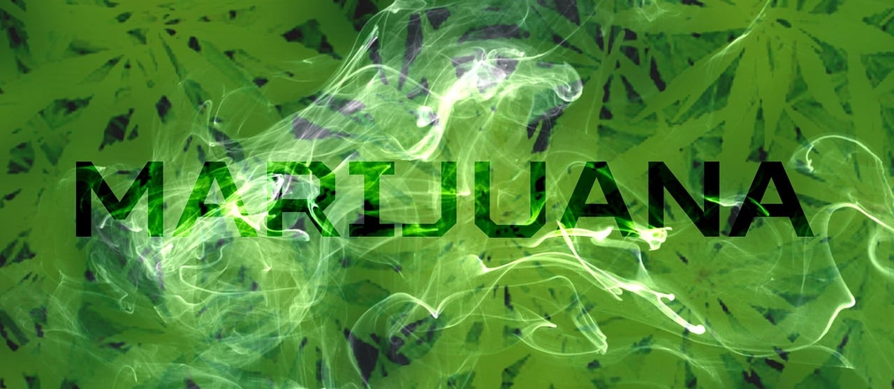 a close up of the word marijuana on a green background, a picture, by Relja Penezic, trending on deviantart, thick smoke around him, imvu, naga-tirr, avatar image