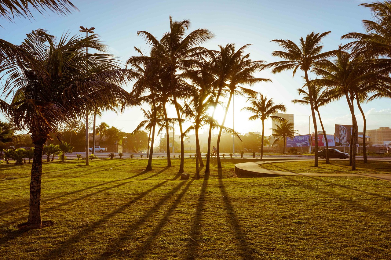 the sun shines through the palm trees in a park, inspired by Antônio Parreiras, grass field surrounding the city, hawaii beach, in the early morning, in a beachfront environment