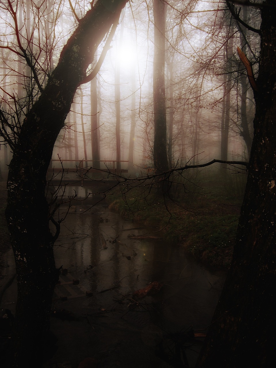 a foggy forest filled with lots of trees, a picture, inspired by Samuel Hieronymus Grimm, tumblr, tonalism, creek, bridge, dark fairytale, misty swamp