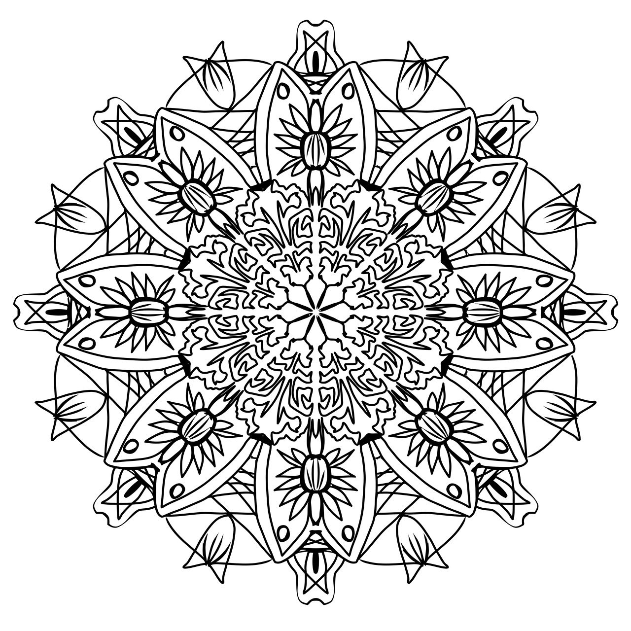 a black and white drawing of a flower, lineart, by Jesse Richards, mandala ornament, made in adobe illustrator, color page, intricate galactic designs