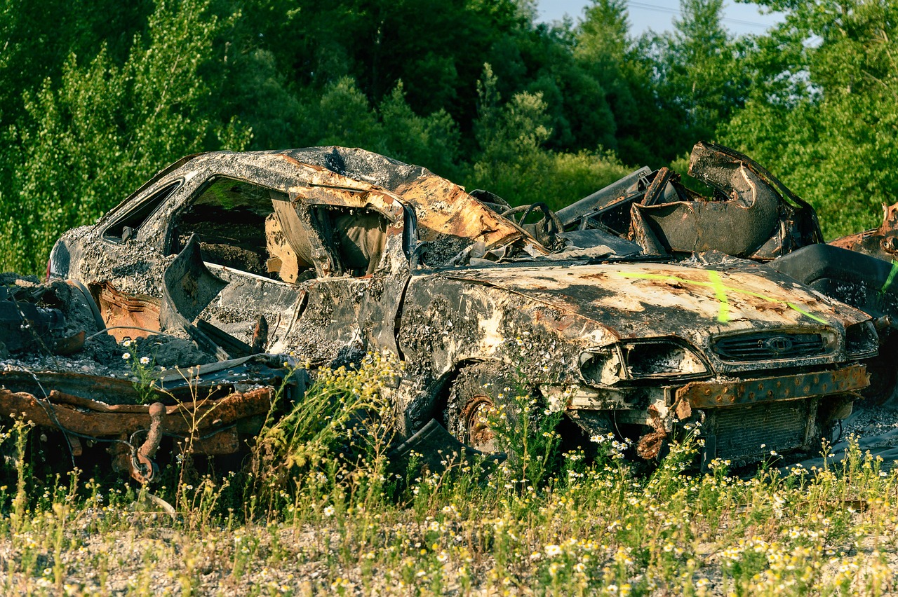 a burnt out car sitting in the middle of a field, by Richard Carline, auto-destructive art, detailed zoom photo, demolition, photograph taken in 2 0 2 0, 2045