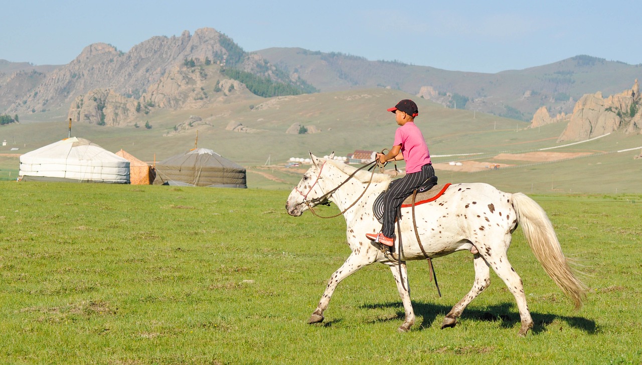 a woman riding on the back of a white horse, flickr, in the steppe, kids, square, practice