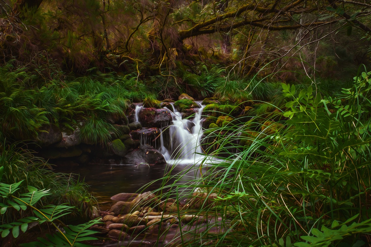 a stream running through a lush green forest, a digital painting, inspired by Henri Biva, process art, tonemapped, waterfalls and lakes, caledonian forest, delightful surroundings