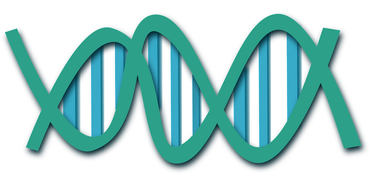 a close up of a letter x on a black background, by Stephen Greene, generative art, dna helix, teal color graded, flat color, pig