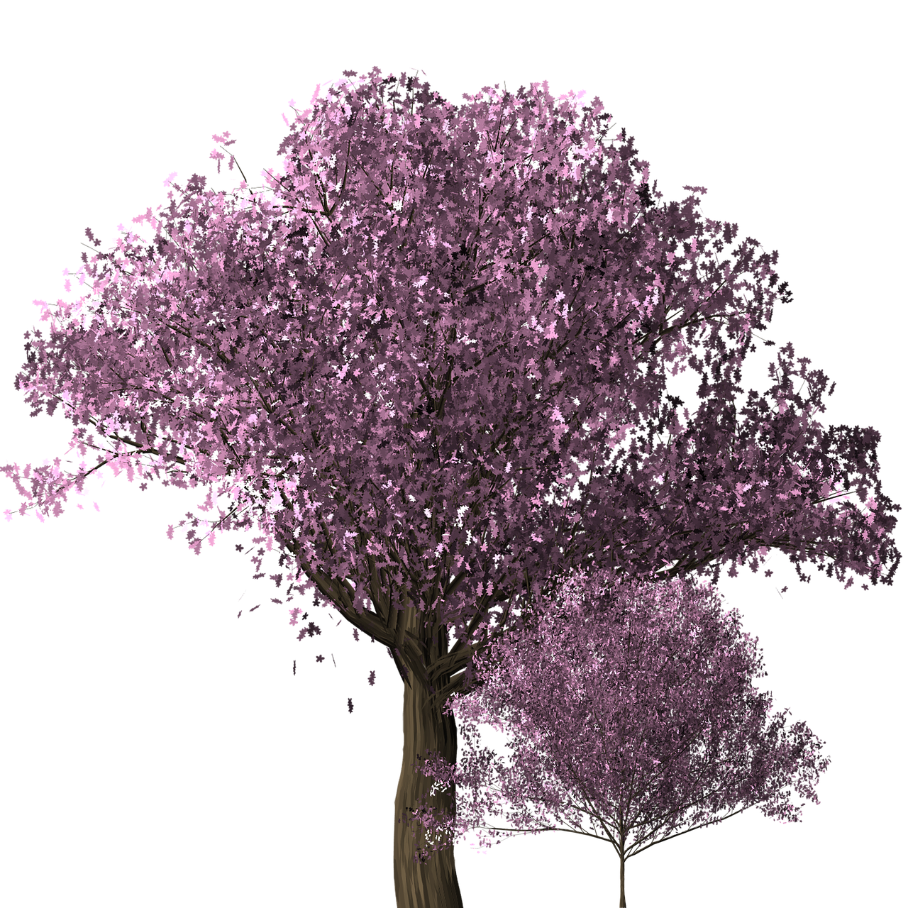 a purple tree on a black background, a digital rendering, cherry blosom trees, 3 d raytraced masterpiece, scenic full shot, pink color scheme