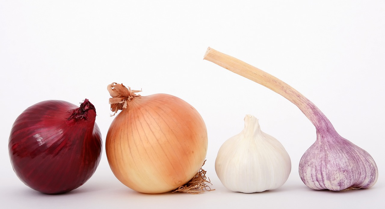 a group of onions and garlic on a white surface, a picture, by Harold von Schmidt, pexels, long neck, videogame still, family photo, with a white background