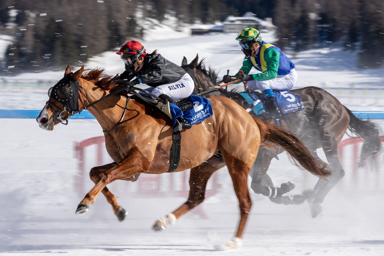 a couple of people riding on the backs of horses, by Dietmar Damerau, shutterstock, massive vertical grand prix race, snowy, italian masterpiece, 2 0 2 2 photo