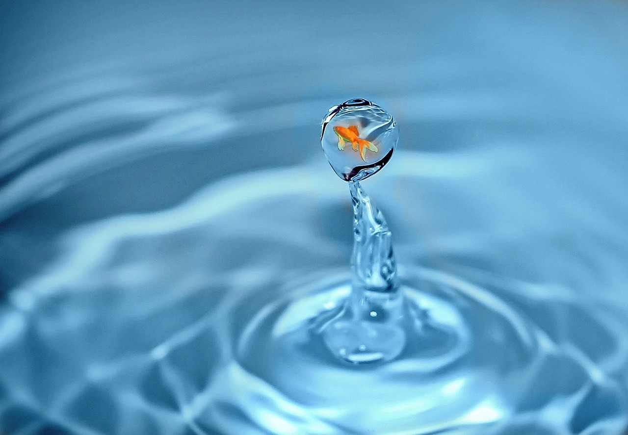 a close up of a water drop with a fish in it, flickr, [ realistic photography ], flow, blue and orange, very tiny
