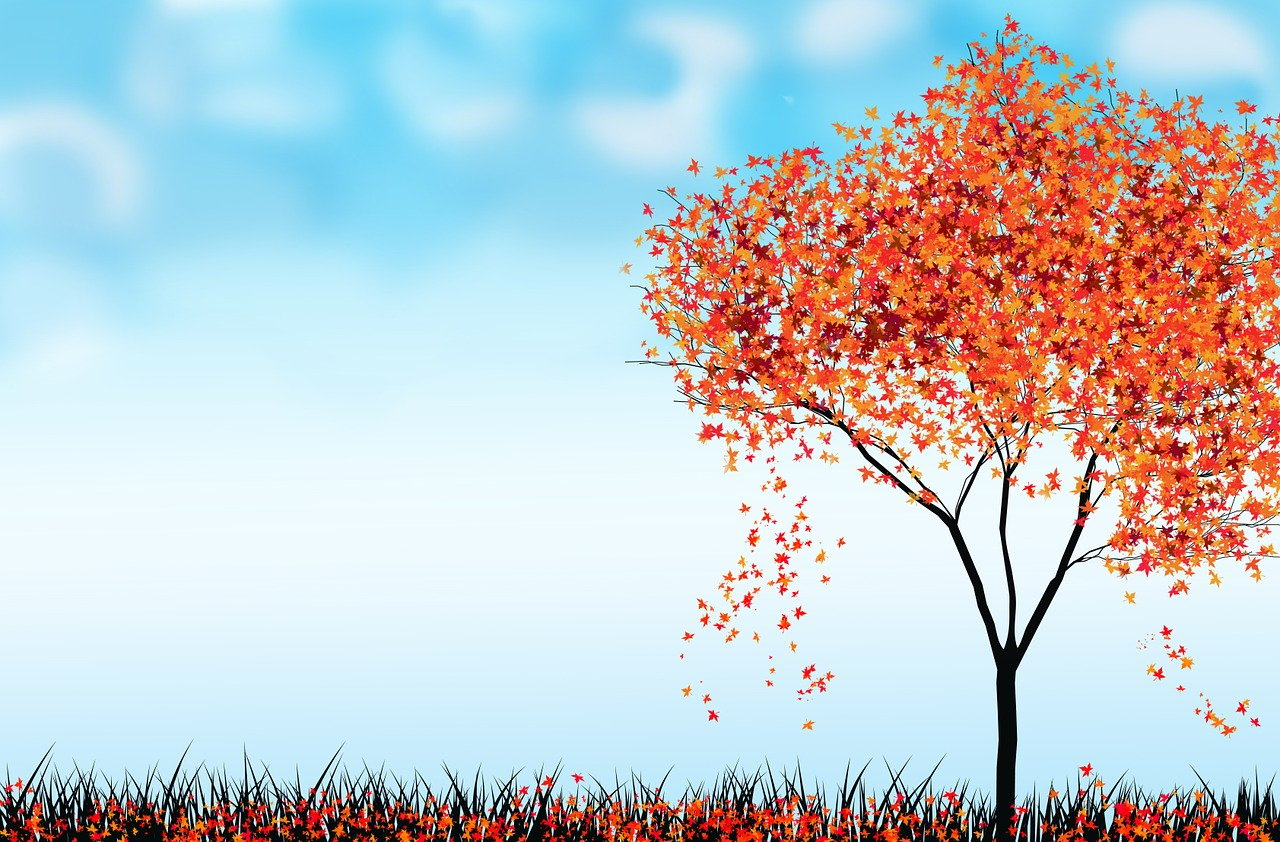 a tree with red leaves blowing in the wind, an illustration of, conceptual art, blue sky background, autumn leaves on the ground, vignette illustration