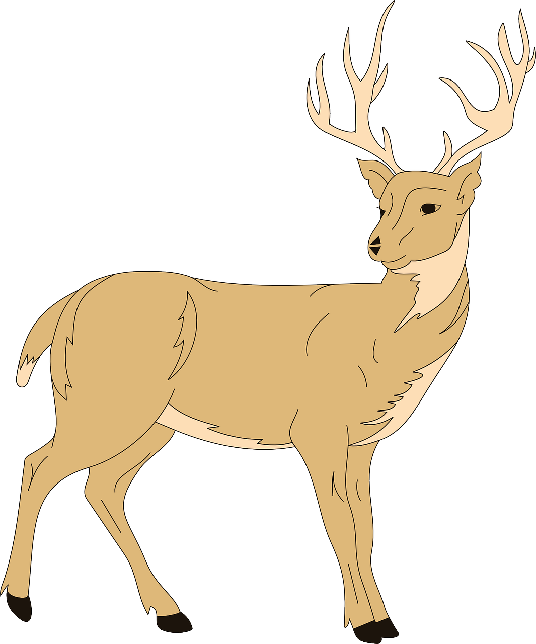 a deer standing in front of a white background, an illustration of, clean lineart and color, looking away from viewer, colored in, 3/4 side view