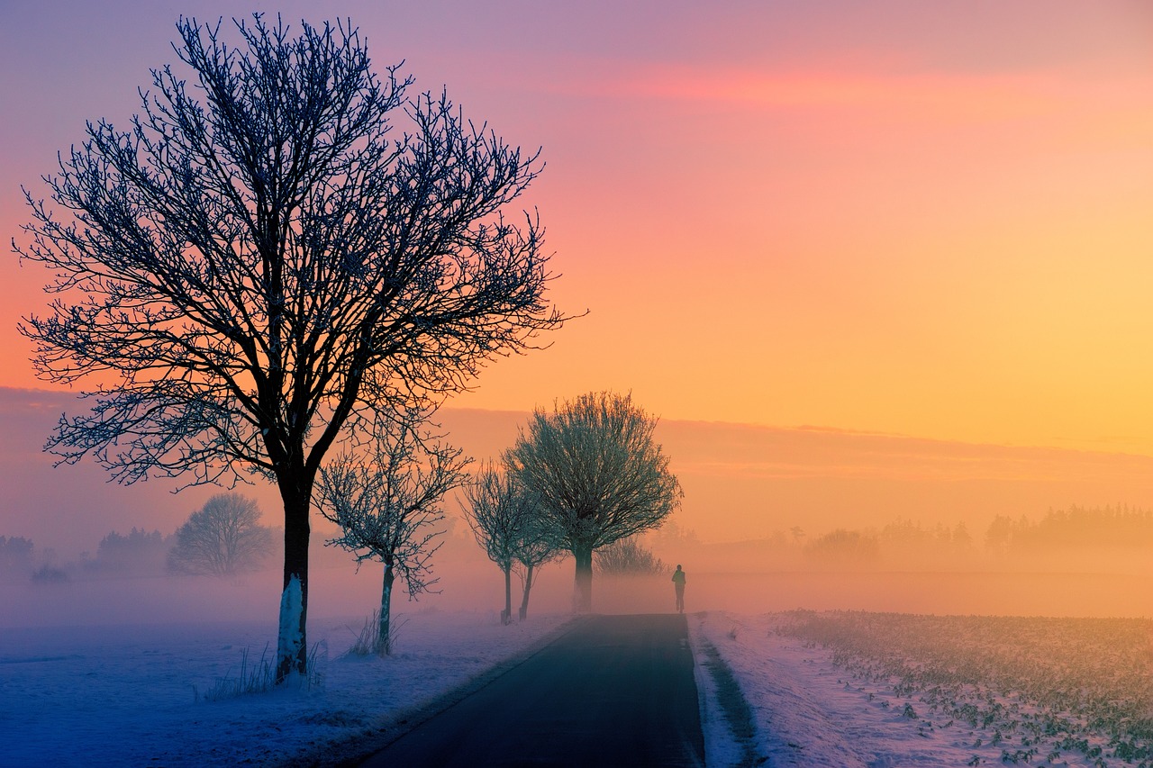 a couple of trees sitting on the side of a road, a picture, by Zoran Mušič, romanticism, cold sunset, winter mist around her, lonely human walking, vibrant vivid colors