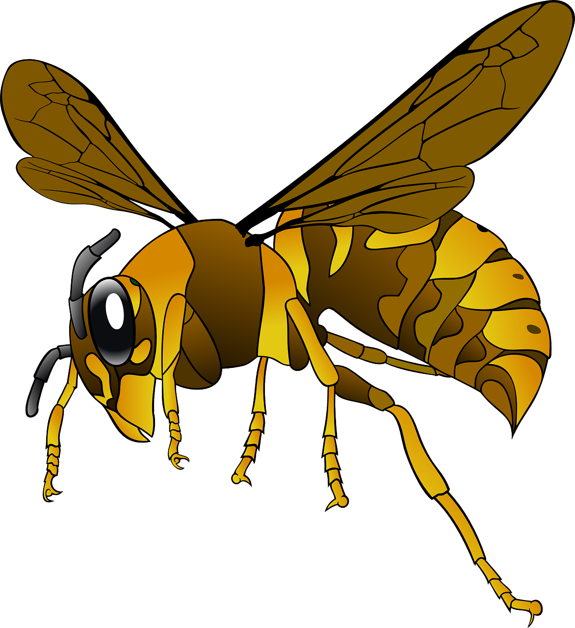 a close up of a bee on a black background, an illustration of, hurufiyya, !!! very coherent!!! vector art, cell shaded adult animation, tomcat raptor hornet falcon, full color illustration