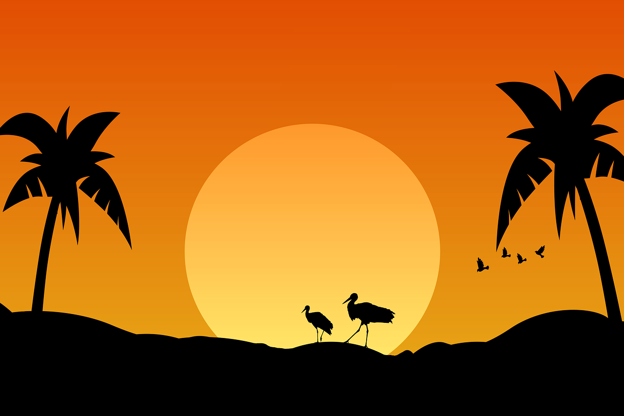 a couple of birds standing on top of a hill, vector art, palm, two cranes flying across the sun, istock, safari background