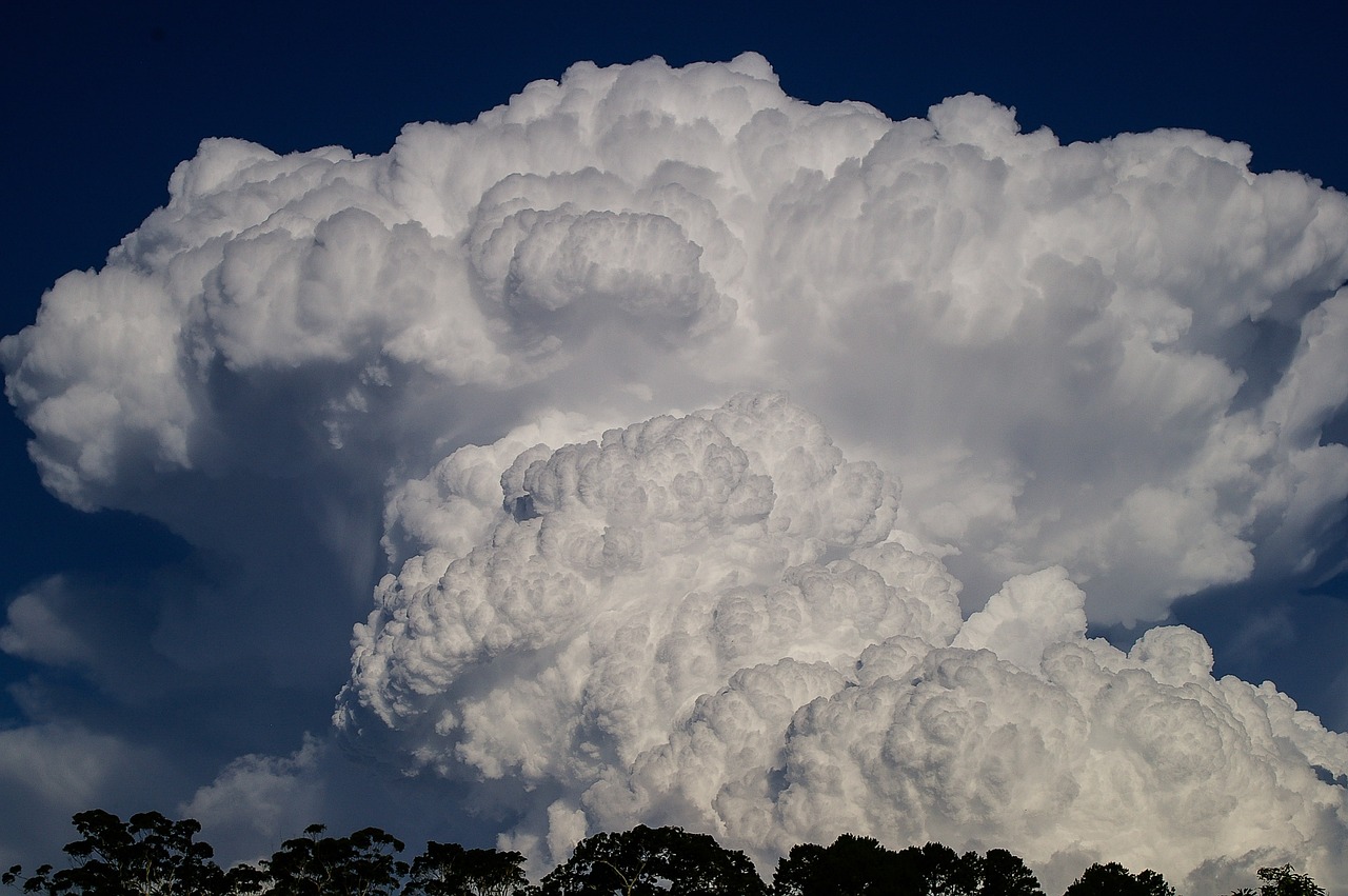 a large cloud in the sky with trees in the foreground, a portrait, by Tom Carapic, flickr, giant cumulonimbus cloud, bushfire, hyperdetailed!!, up-close