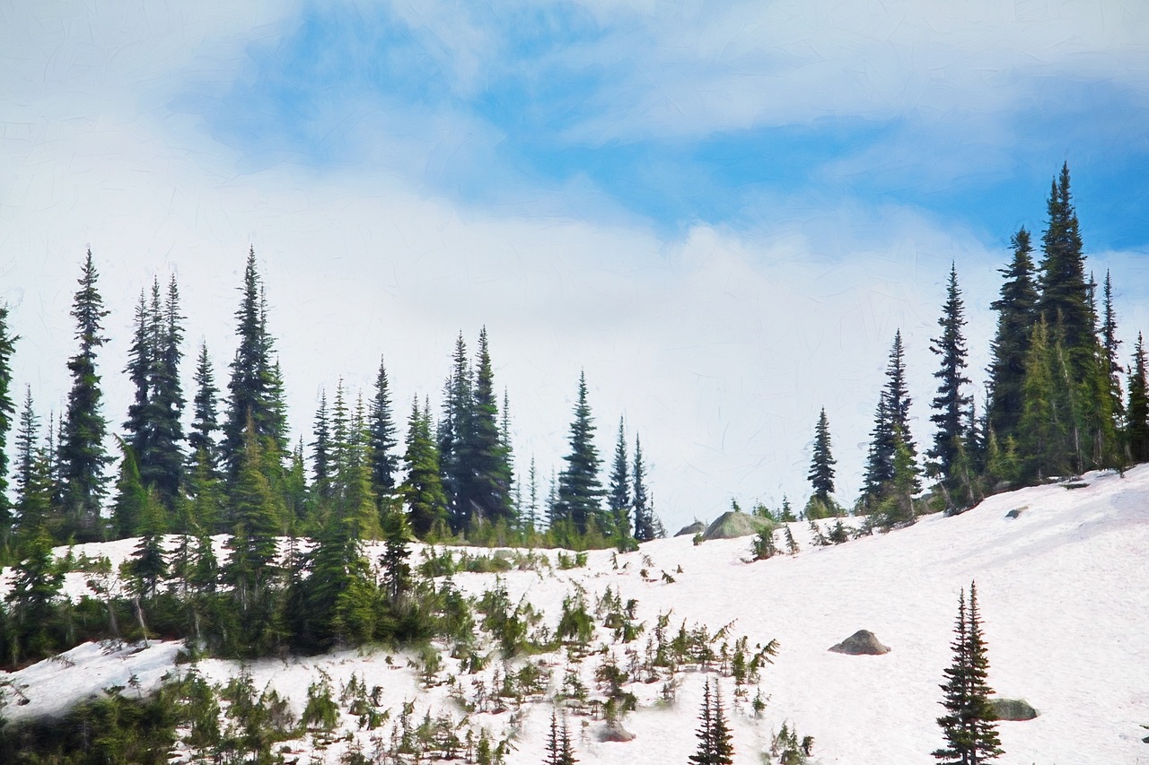 a man riding a snowboard down a snow covered slope, a digital painting, inspired by Bob Ross, pexels, fine art, trees. wide view, washington state, summertime, banner
