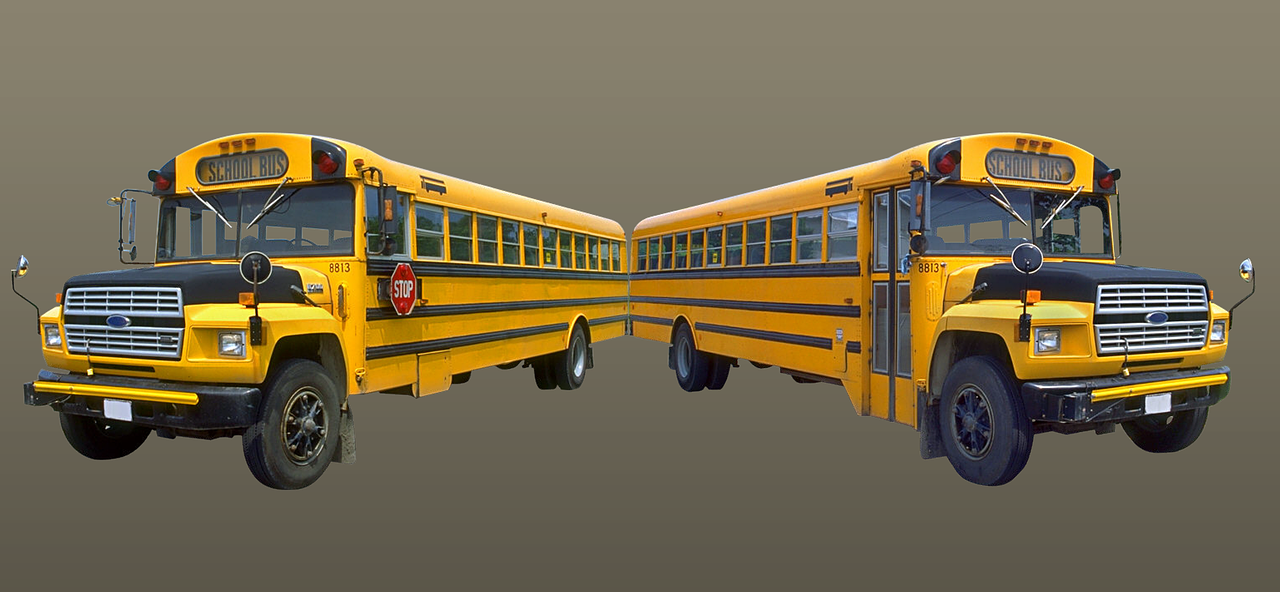 two yellow school buses parked side by side, by Robert Thomas, pixabay, digital art, front back view and side view, rendered in houdini, six sided, photorealism. trending on flickr