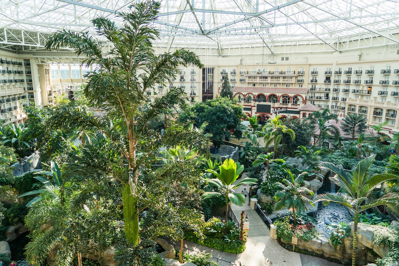 a view of the atrium of the gay gay gay gay gay gay gay gay gay gay gay gay gay gay gay gay gay gay gay gay gay, shutterstock, lush rainforest, epcot, photo taken in 2 0 2 0, over the tree tops