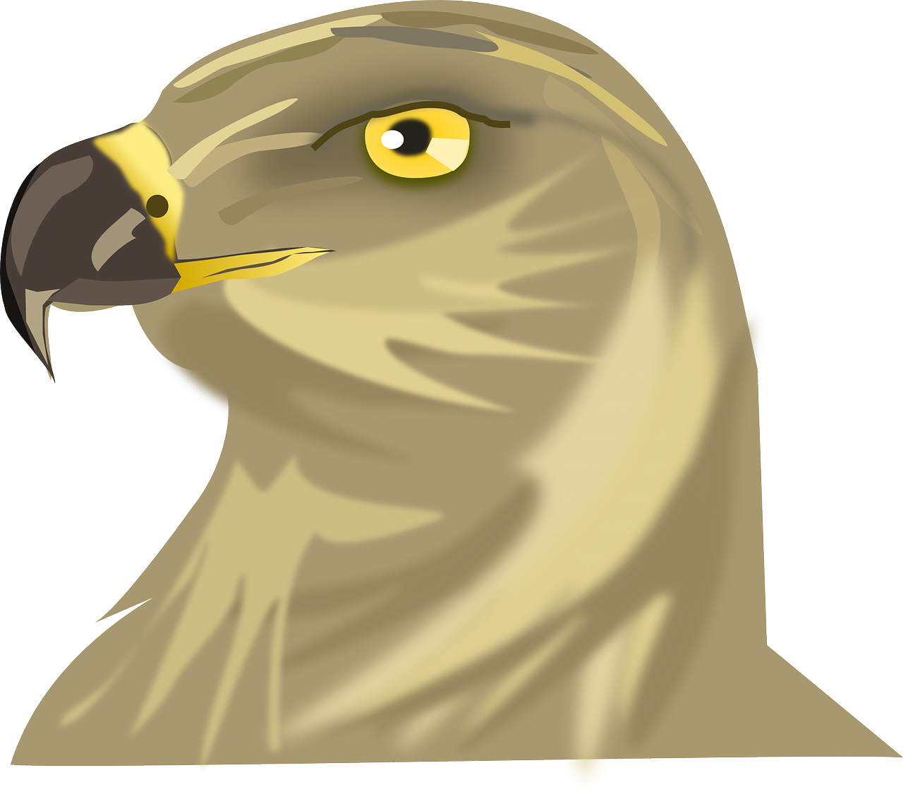 a close up of a bird of prey, a digital painting, hurufiyya, cartoonish vector style, slightly larger nose, long thick shiny gold beak, drawn in microsoft paint
