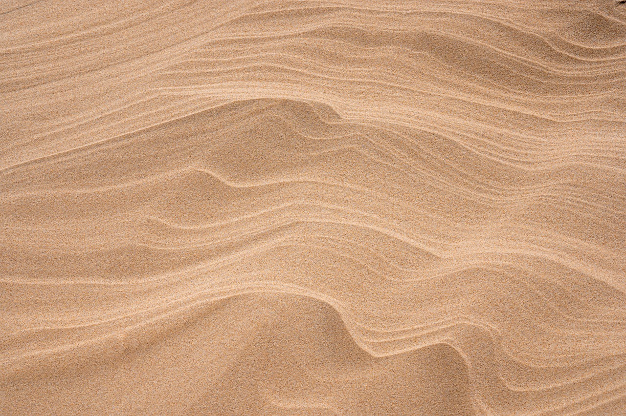 a bird sitting on top of a sandy beach, a stipple, by Etienne Delessert, shutterstock, op art, high angle close up shot, sandstone, silk flowing in wind, sandy colors