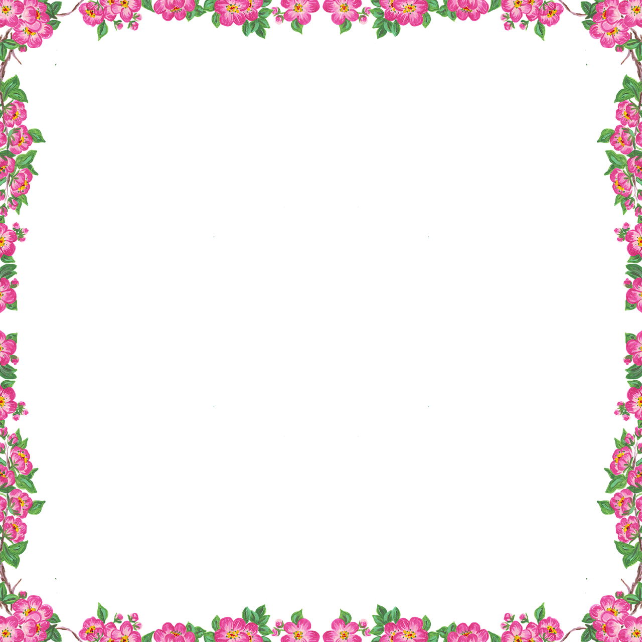 a frame with pink flowers and green leaves, by Nagasawa Rosetsu, flickr, tileable, basic white background, cosmos in the background, bougainvillea