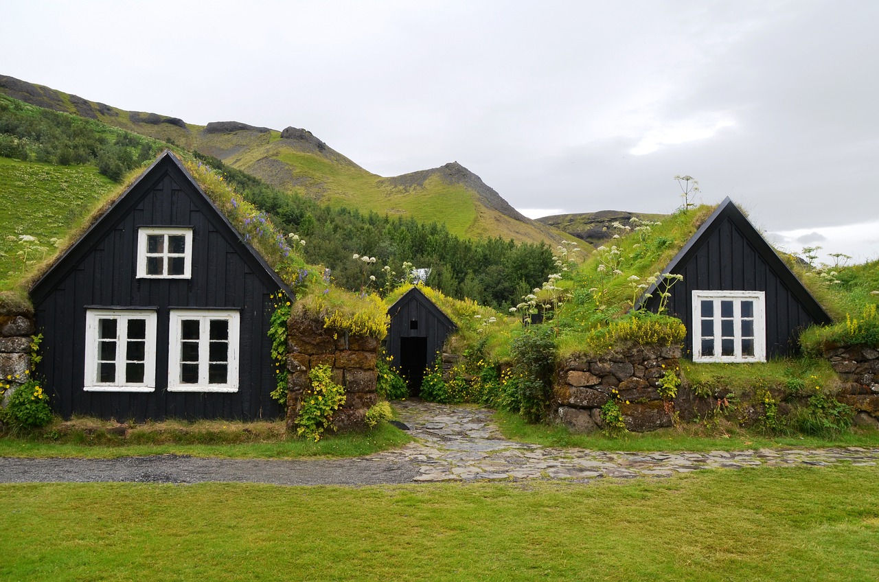 a couple of black houses sitting on top of a lush green hillside, by Þórarinn B. Þorláksson, shutterstock, renaissance, roof with vegetation, whitewashed buildings, turf roof, front view dramatic