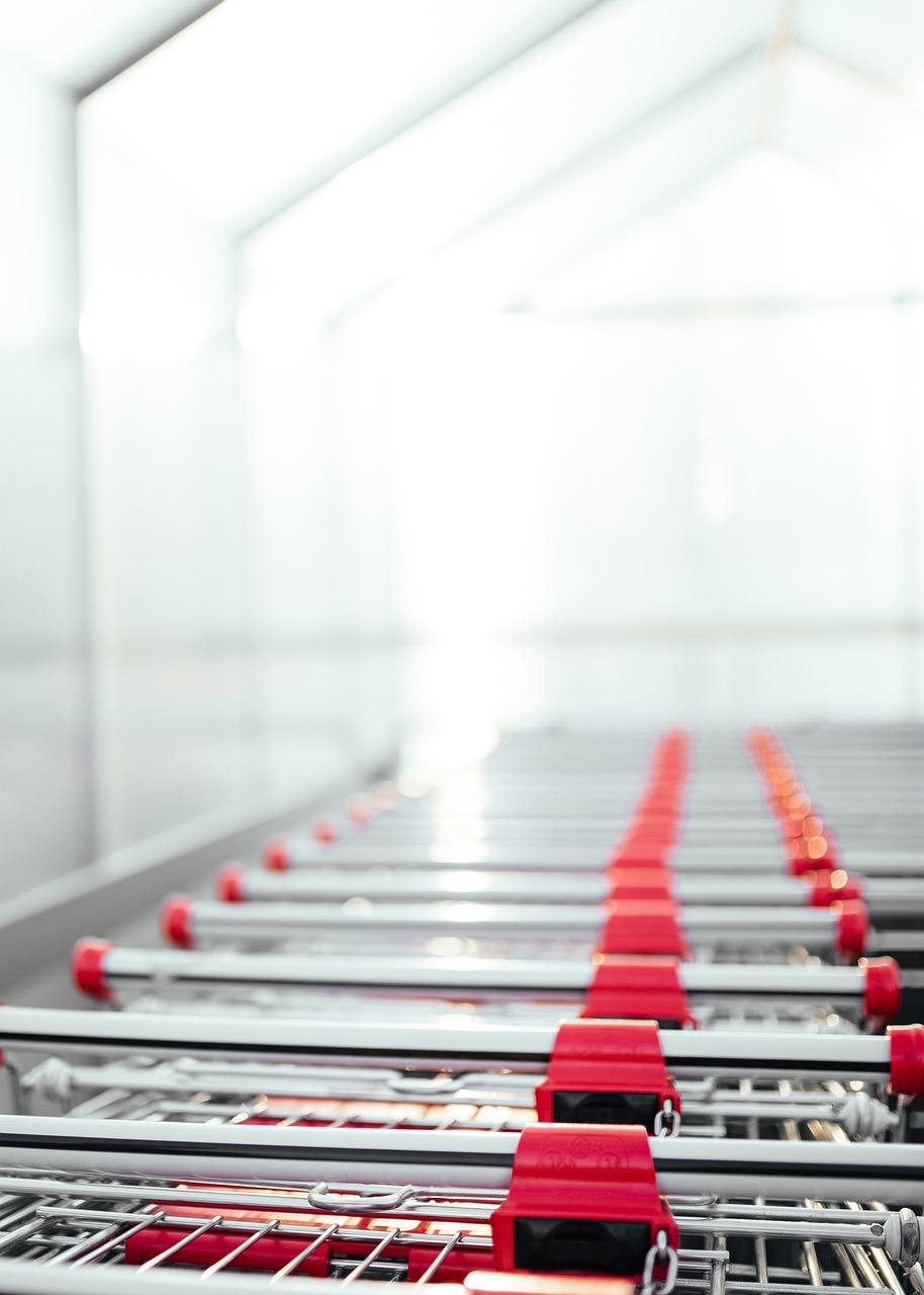 a line of shopping carts on a conveyor belt, a tilt shift photo, soft grey and red natural light, product introduction photo, bright daylight indoor photo, view from bottom to top