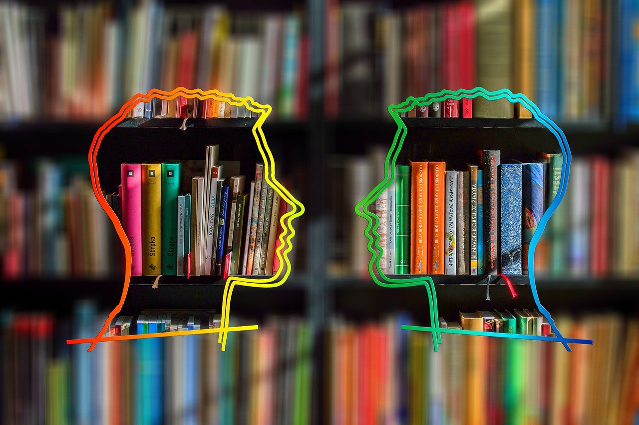 a couple of books sitting on top of a book shelf, by Dietmar Damerau, shutterstock, figuration libre, multicolored faces, outlined silhouettes, left right symmetry, profile close-up view