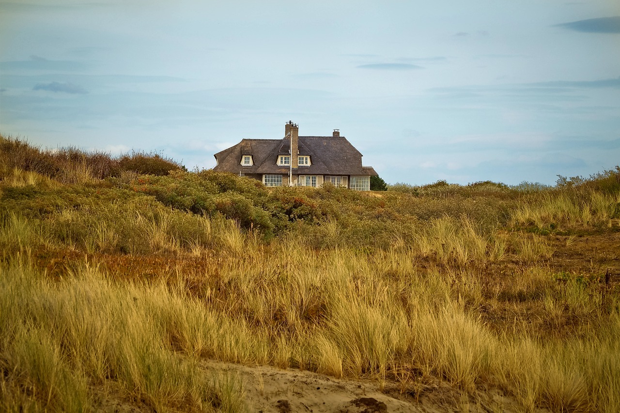 a house sitting on top of a lush green hillside, a portrait, by Etienne Delessert, dunes in the background, dutch style, photo 85mm, late summer evening