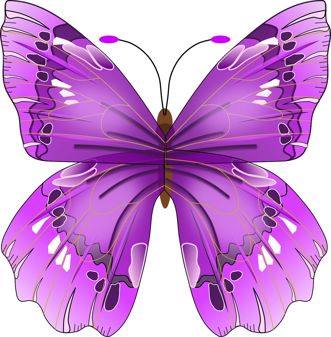 a purple butterfly on a white background, shutterstock, art nouveau, frontal realistic, vector images, full body; front view, magenta colours