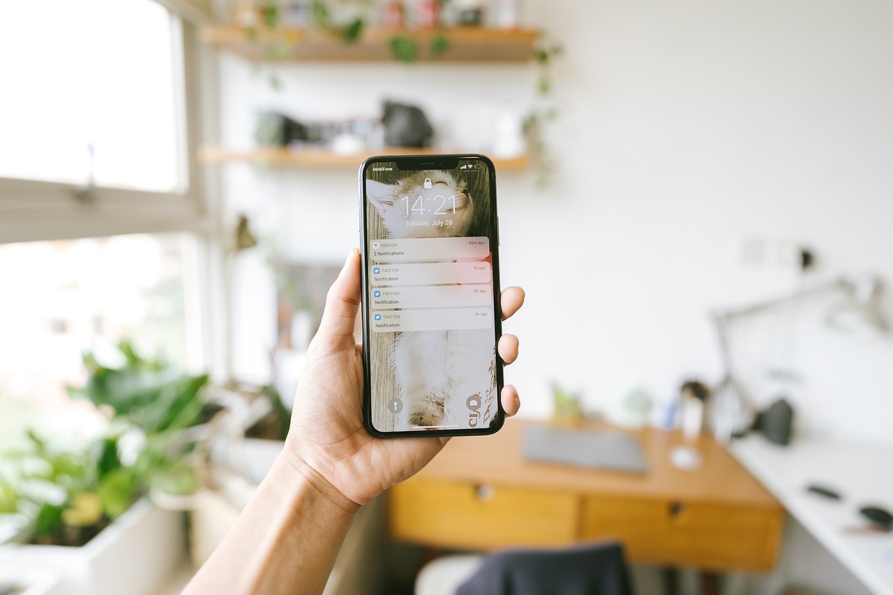 a person holding a cell phone in their hand, by Robbie Trevino, at home, semi-transparent, uncluttered, messages