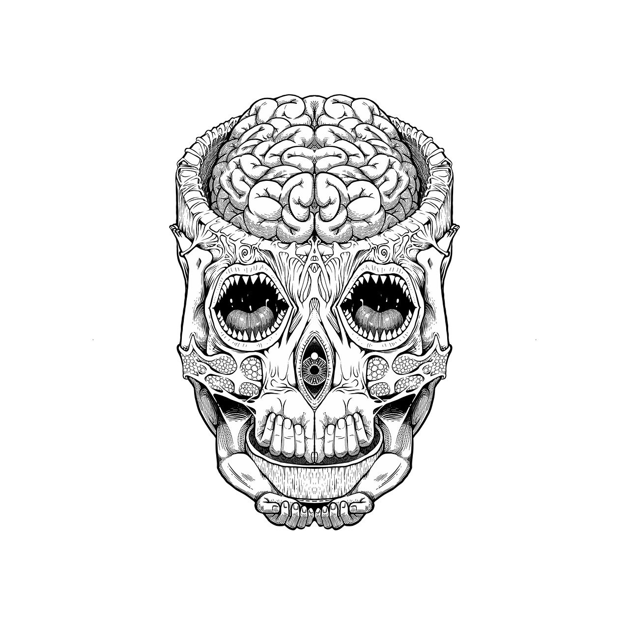 a black and white drawing of a human skull, a detailed drawing, by Adam Marczyński, featuring brains, opening third eye, big brain, symmetry illustration