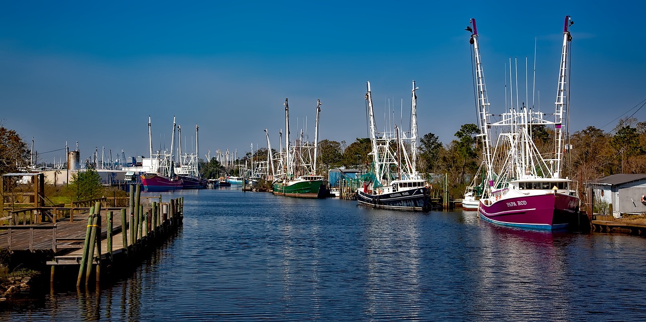 a number of boats in a body of water, a portrait, by Dave Melvin, pixabay, in louisiana, crane, fishing town, sigma 1/6