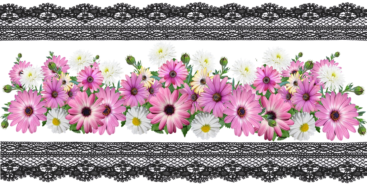 a bunch of pink and white flowers on a black background, a pastel, inspired by Susan Heidi, trending on pixabay, romanticism, detailed lacework, border pattern, daysies, garters