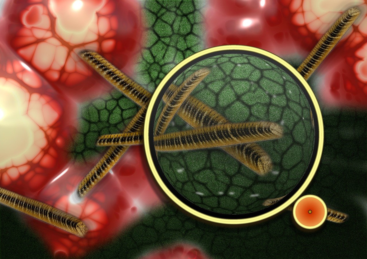 a close up of a flower with a magnifying lens, a microscopic photo, hurufiyya, the hydra from path of exile, hd illustration, such as bacteria, spirals tubes roots
