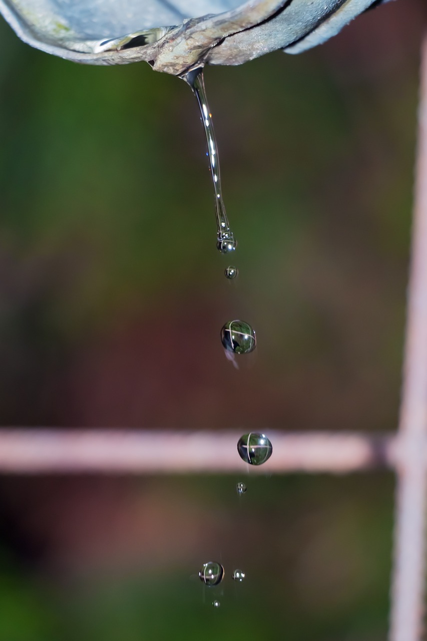 a bird is drinking water from a bird bath, a macro photograph, art photography, drops are falling from above, newton's cradle, highly detailed photo 4k, droplets on the walls