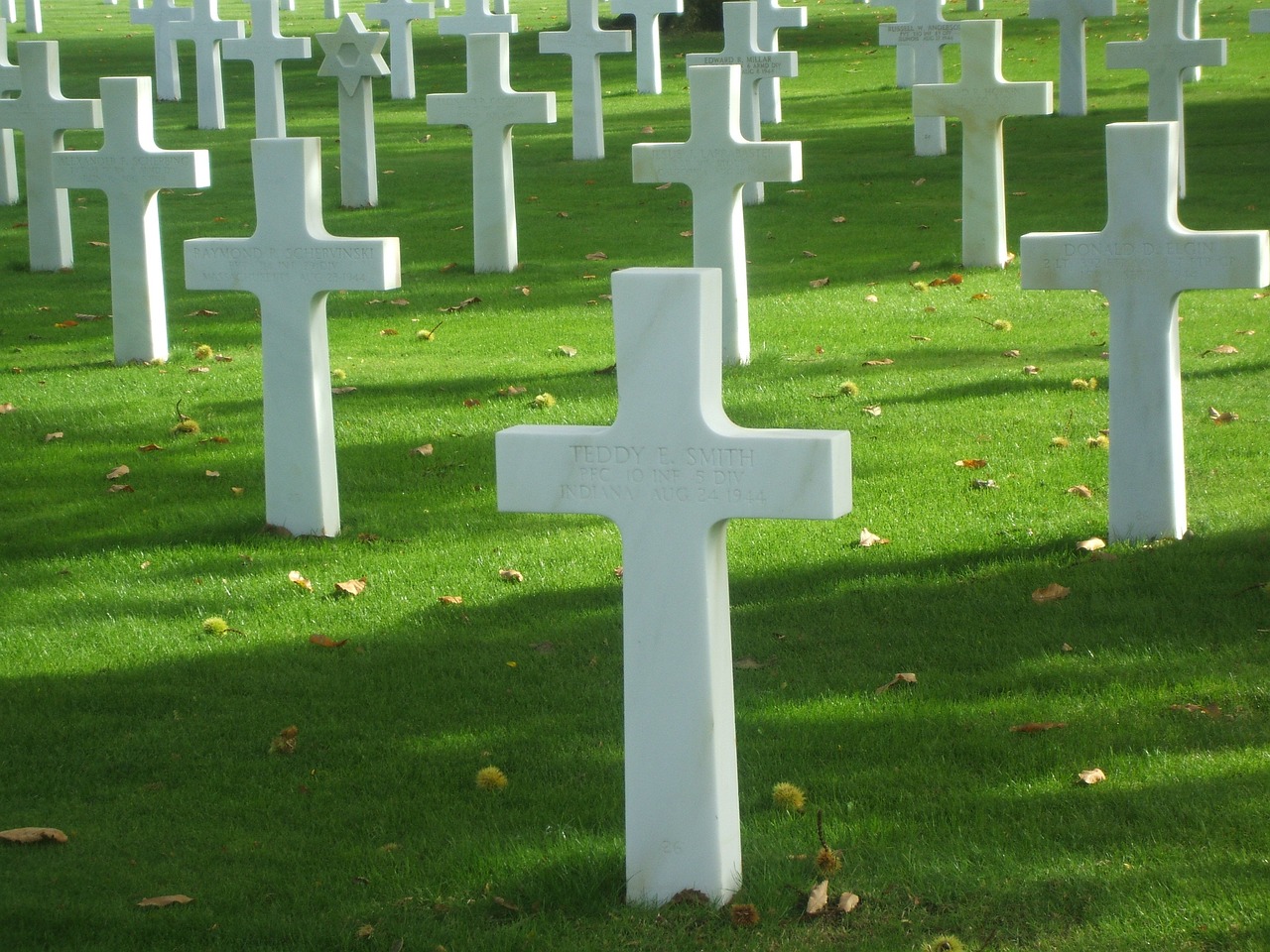 a group of white crosses sitting on top of a lush green field, skeleton, deak ferrand, noon, graves