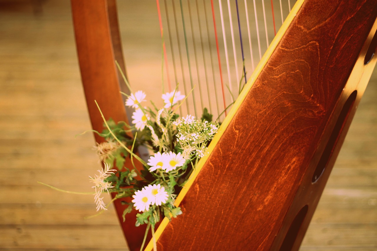 a close up of a harp with flowers in it, chamomile, rustic, concert, string theory