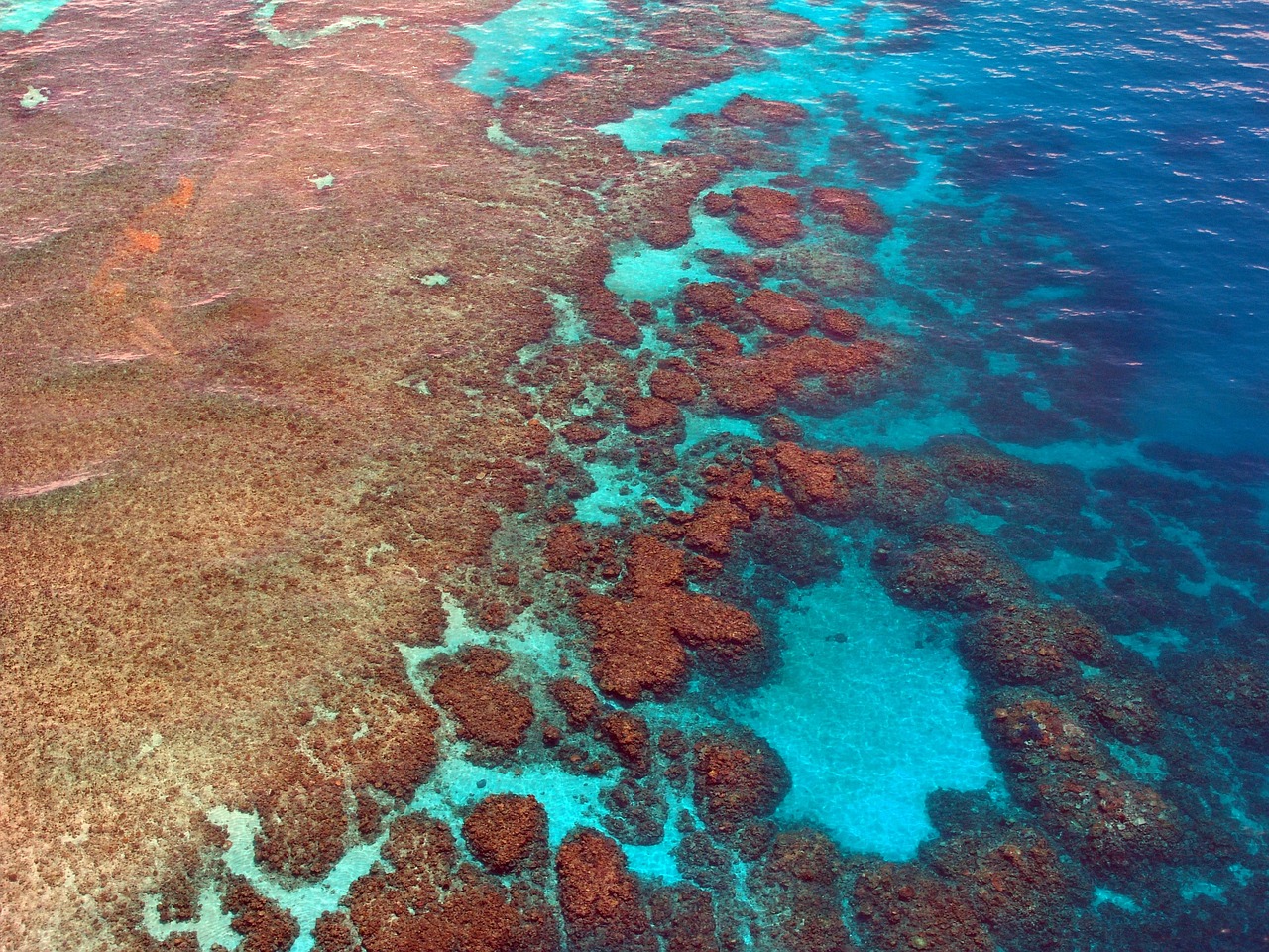 an aerial view of the great barrier reef, a photo, by Emanuel Witz, shutterstock, red scales, retro style ”, stock photo, bright blue glowing water