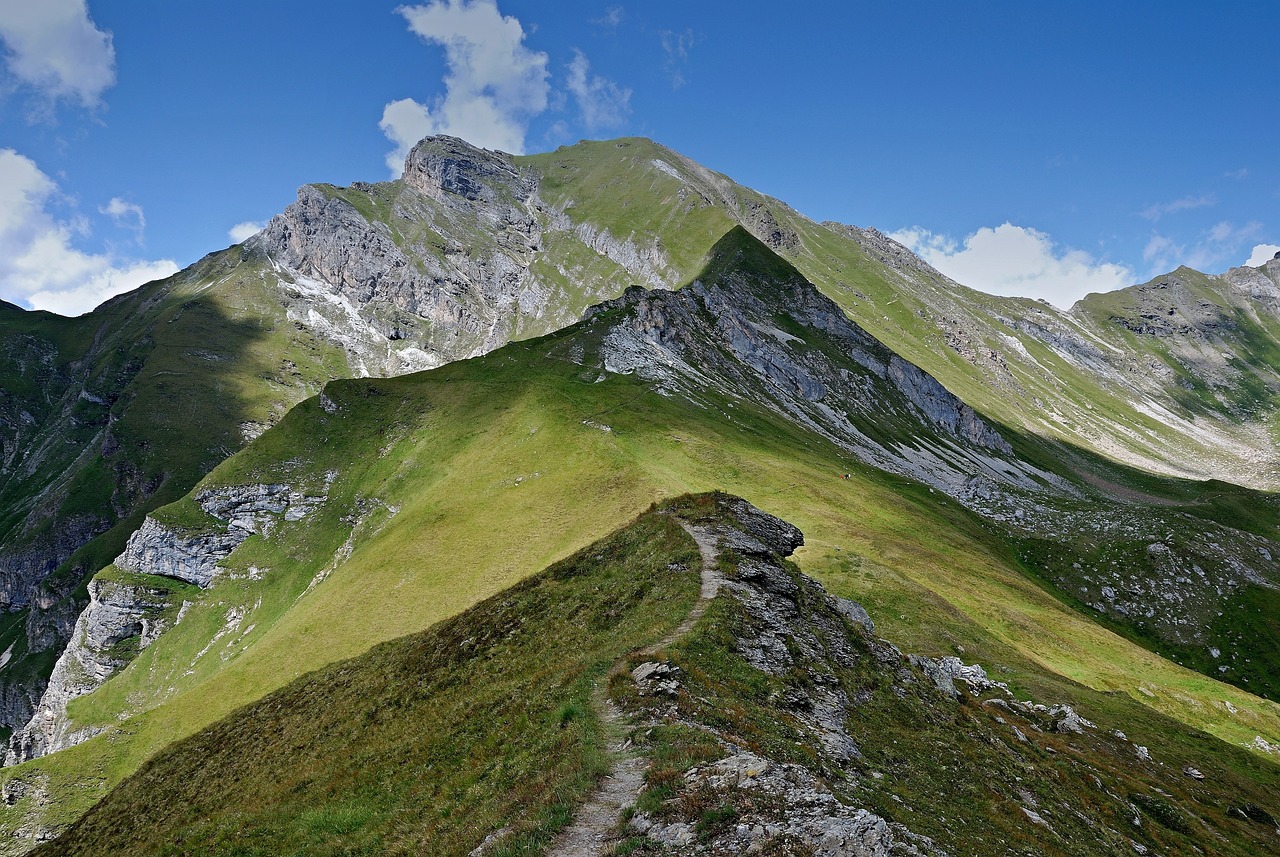 a group of sheep standing on top of a lush green hillside, a picture, by Werner Andermatt, les nabis, narrow footpath, brilliant peaks, cushart krenz, large path