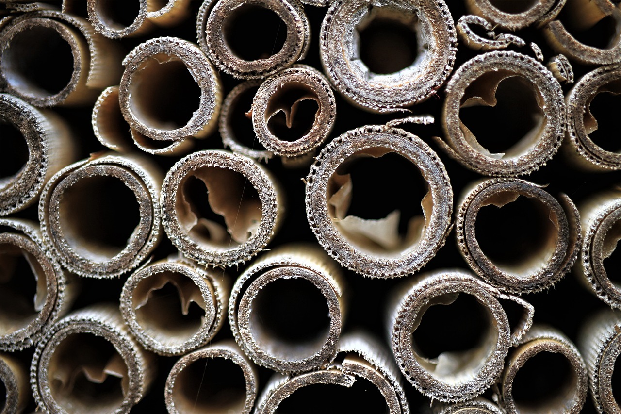 a pile of toilet paper rolls sitting on top of each other, a macro photograph, by Robert Brackman, renaissance, favela honeybee hive, detailed organic textures, pipes, beautiful bone structure