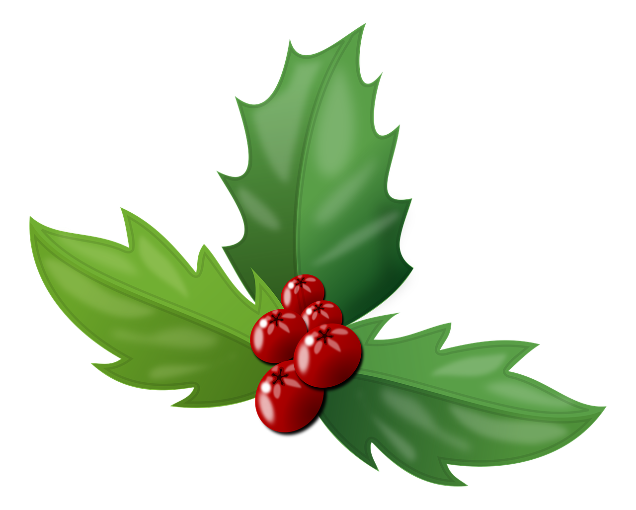 a holly branch with red berries and green leaves, a digital rendering, by Harold Elliott, on a black background, symbol, presents, so cute